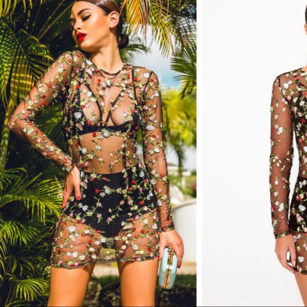 Floral Embroidered Long Sleeved Mini Dress. NWT